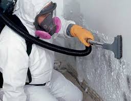 Best Environmental Consulting for Mold Prevention  in Victor, ID